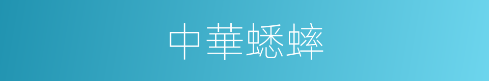 中華蟋蟀的同義詞