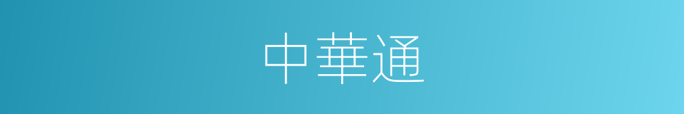 中華通的同義詞