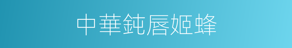 中華鈍唇姬蜂的同義詞