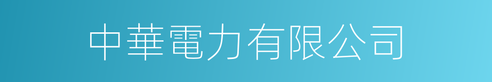 中華電力有限公司的同義詞