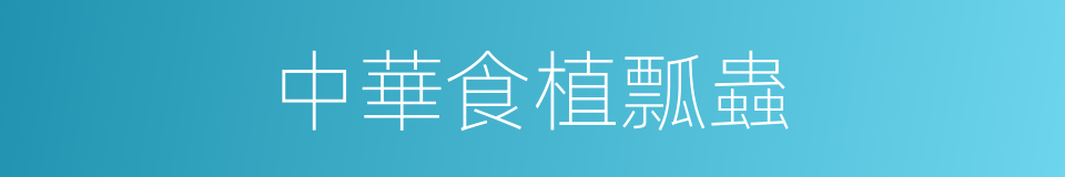 中華食植瓢蟲的同義詞