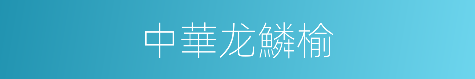 中華龙鱗榆的同義詞
