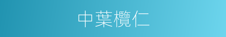中葉欖仁的同義詞