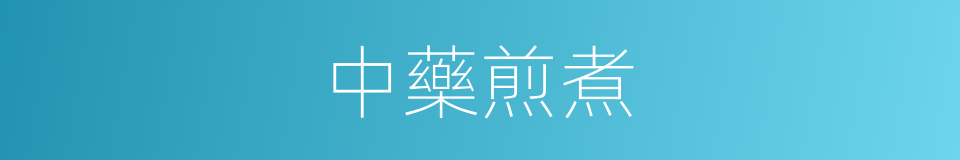 中藥煎煮的同義詞