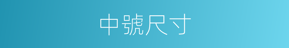 中號尺寸的同義詞