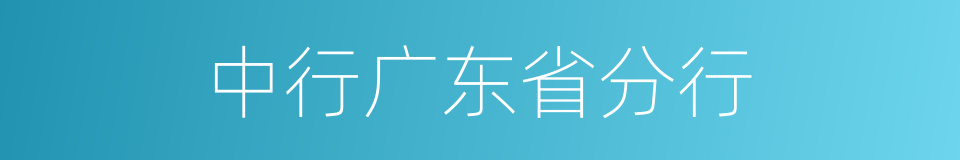 中行广东省分行的同义词