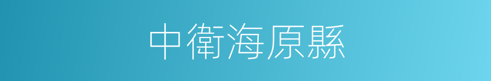 中衛海原縣的同義詞