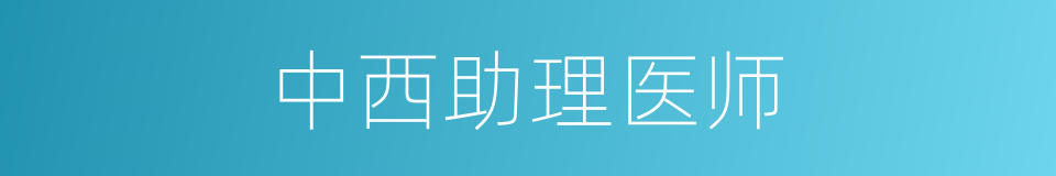 中西助理医师的同义词