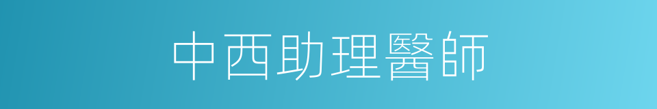 中西助理醫師的同義詞