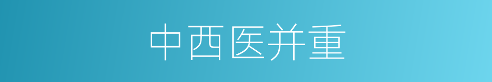 中西医并重的同义词