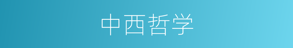 中西哲学的同义词