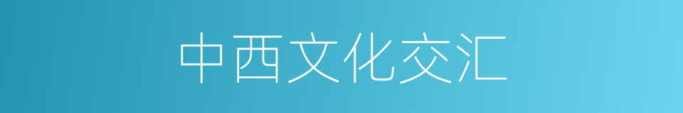 中西文化交汇的同义词