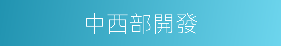 中西部開發的同義詞