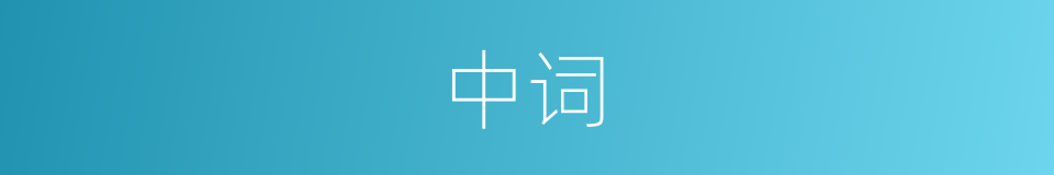 中词的意思
