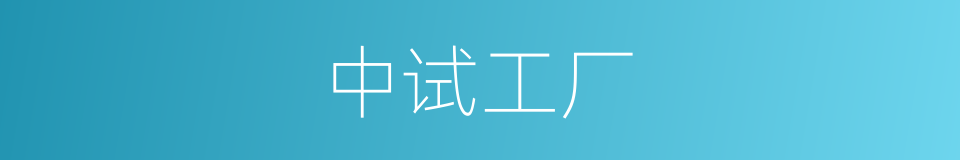 中试工厂的同义词