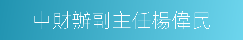 中財辦副主任楊偉民的同義詞