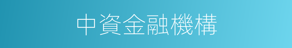 中資金融機構的同義詞