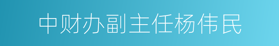 中财办副主任杨伟民的同义词