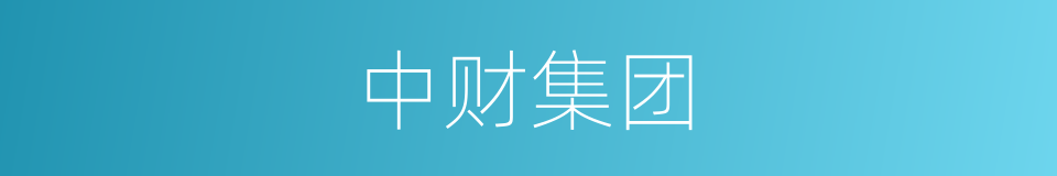 中财集团的同义词