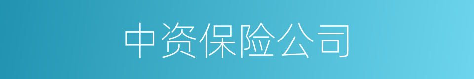 中资保险公司的同义词