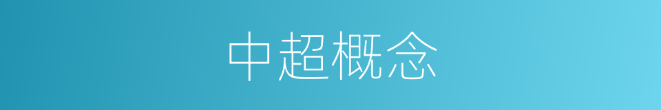 中超概念的同义词