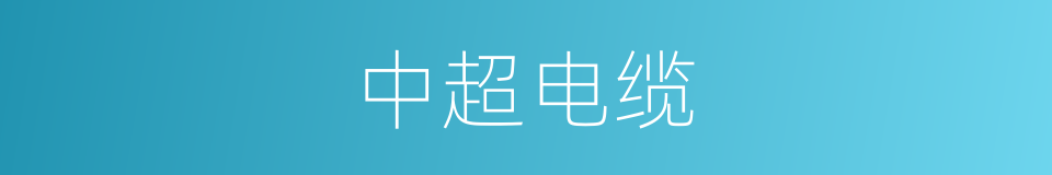 中超电缆的同义词