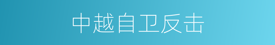 中越自卫反击的同义词
