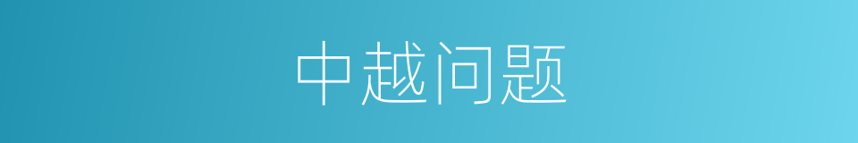 中越问题的同义词