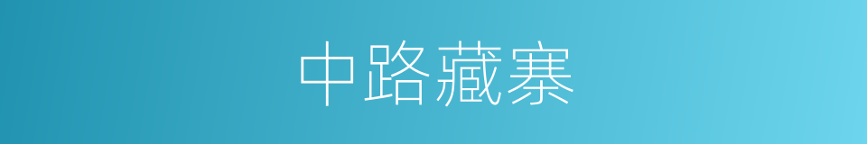 中路藏寨的同义词