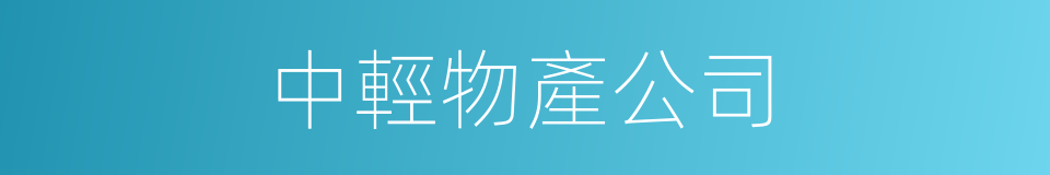 中輕物產公司的同義詞