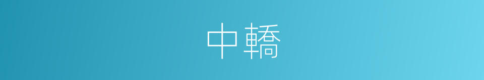 中轎的意思
