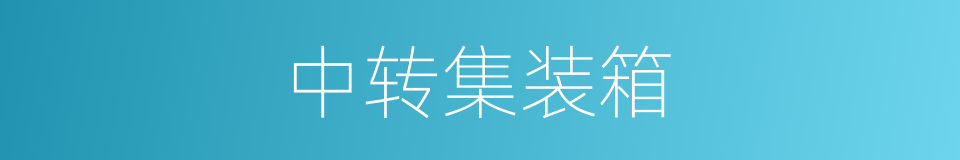 中转集装箱的同义词