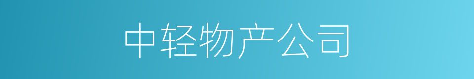 中轻物产公司的同义词