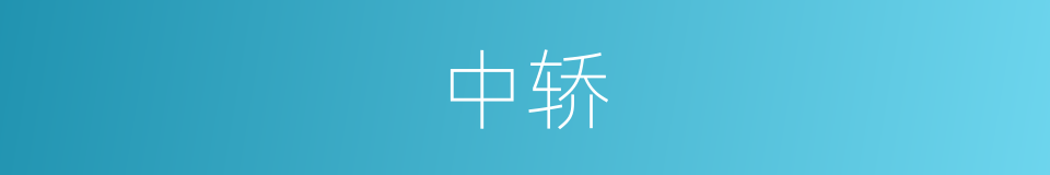 中轿的意思