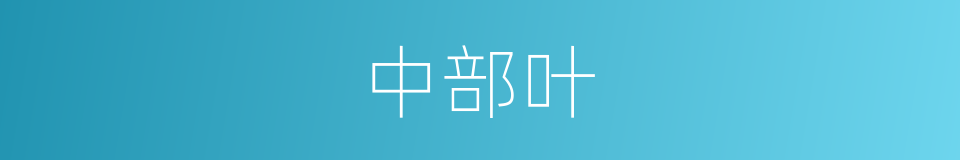 中部叶的同义词