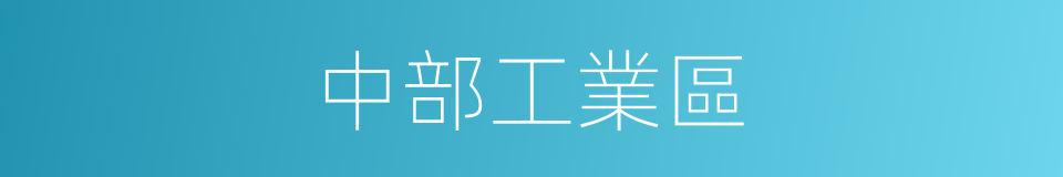 中部工業區的同義詞