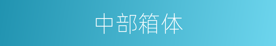 中部箱体的同义词