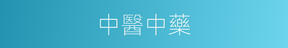 中醫中藥的同義詞