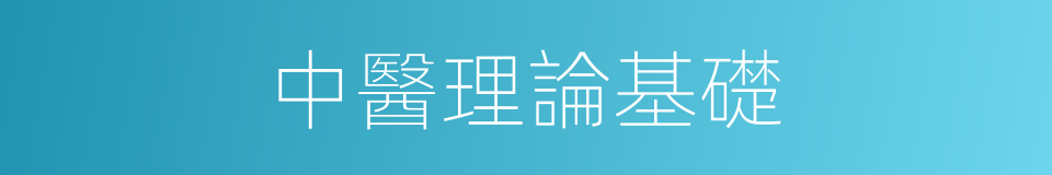 中醫理論基礎的同義詞