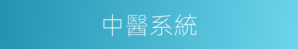 中醫系統的同義詞