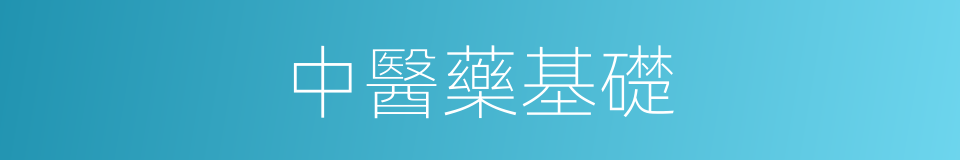 中醫藥基礎的同義詞