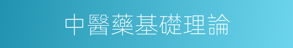 中醫藥基礎理論的同義詞