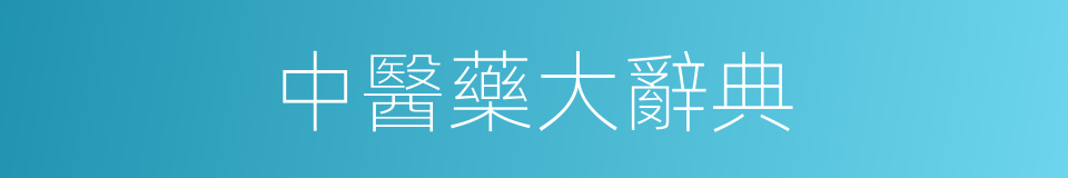 中醫藥大辭典的同義詞