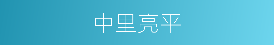 中里亮平的同义词