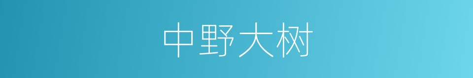 中野大树的同义词