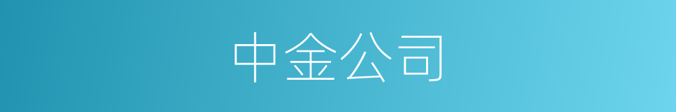 中金公司的同义词
