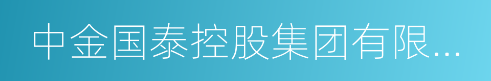 中金国泰控股集团有限公司的同义词