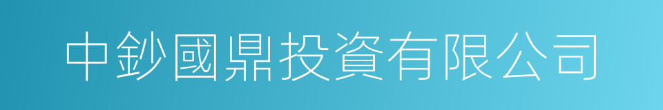 中鈔國鼎投資有限公司的同義詞