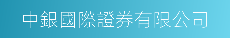 中銀國際證券有限公司的同義詞