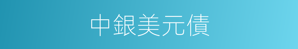 中銀美元債的同義詞